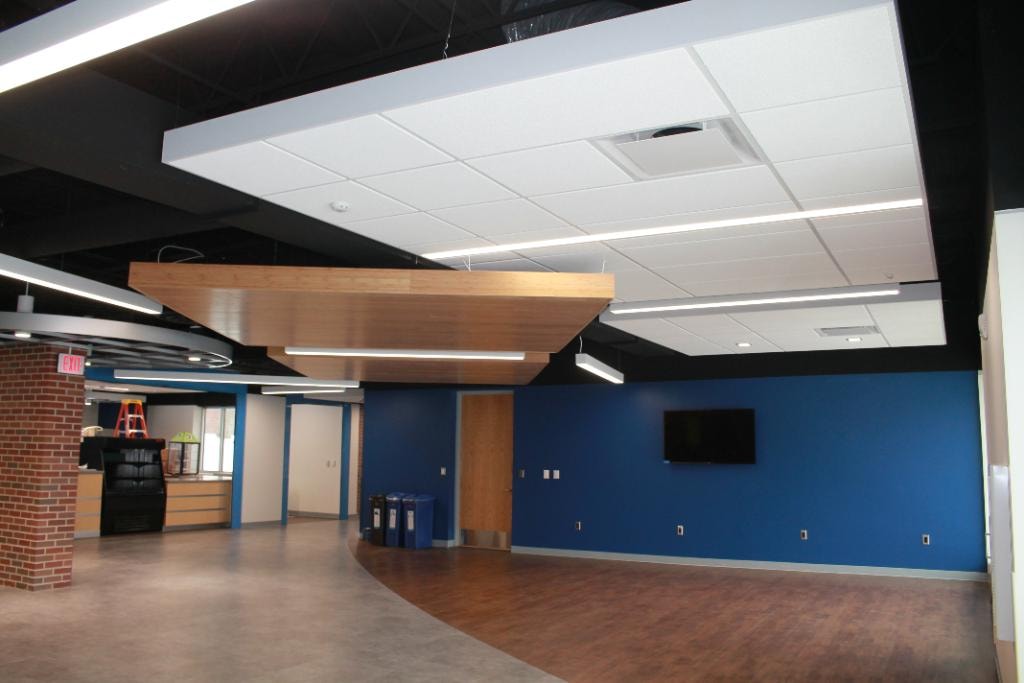 Modern office space with blue walls and wood ceiling